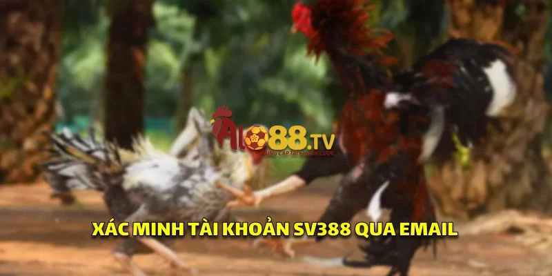 Đăng Ký SV388: Cách Tham Gia Chơi Đá Gà Uy Tín 3 Email xác nhận từ SV388 giúp người chơi kích hoạt tài khoản nhanh chóng, đảm bảo an toàn trước khi chơi.