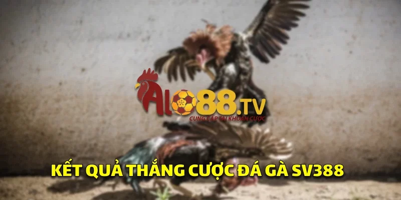Rút Tiền SV388: Hướng Dẫn Nhanh Chóng Để Bạn Tham Gia! 3 Kết quả thắng cược đá gà SV388