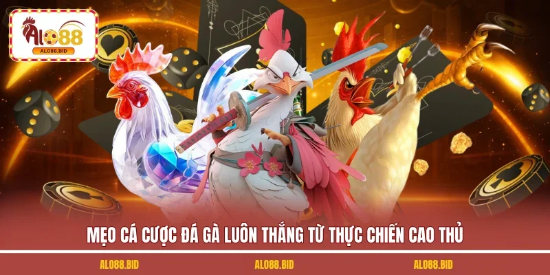 Mẹo Cá Cược Đá Gà Luôn Thắng | Kinh Nghiệm Thực Chiến 1 Mẹo cá cược đá gà luôn thắng từ thực chiến cao thủ