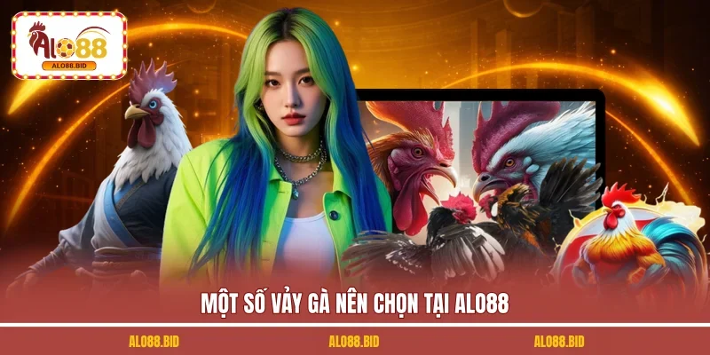 Một số vảy gà nên chọn tại ALO88 