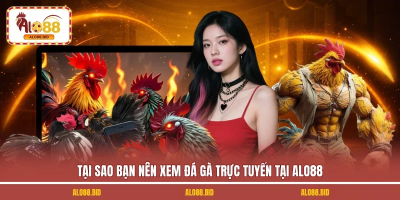 Tại sao bạn nên xem đá gà trực tuyến tại ALO88