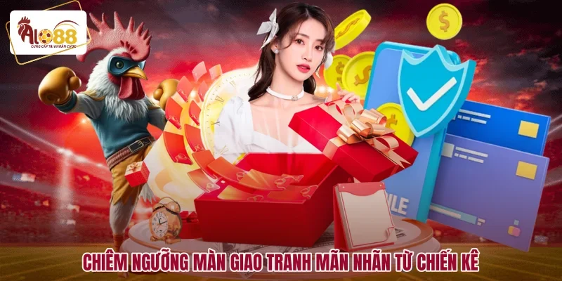 Chiêm ngưỡng màn giao tranh mãn nhãn từ chiến kê