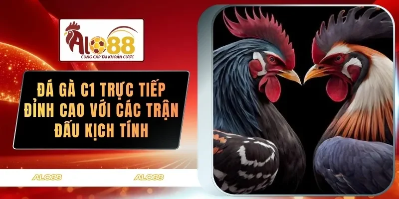 da ga c1 truc tiep dinh cao voi cac tran dau kich tinh