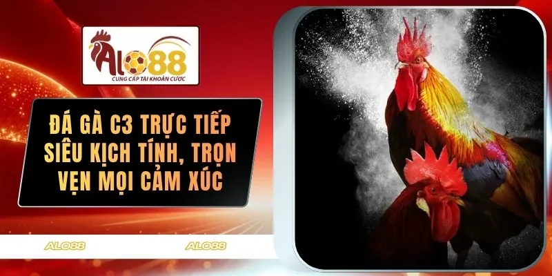 da ga c3 truc tiep sieu kich tinh tron ven moi cam
