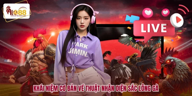 Khái niệm cơ bản về thuật nhận diện sắc lông gà