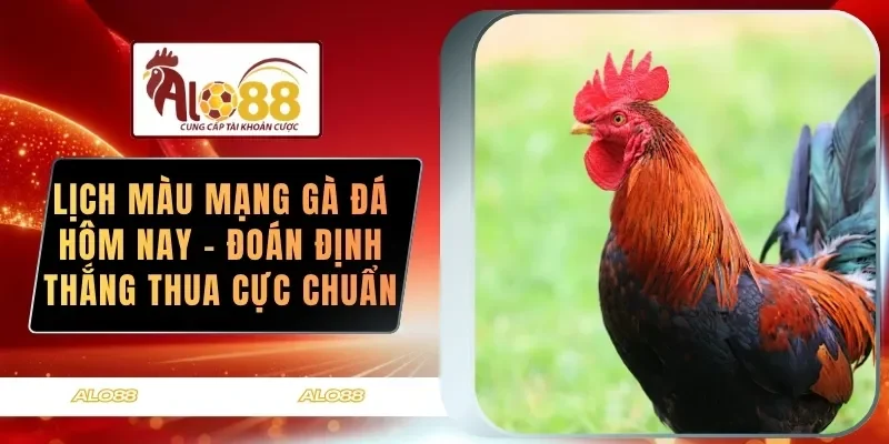 lich mau mang ga da hom nay doan dinh thang thua cuc chuan