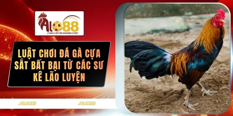 luat choi da ga cua sat bat bai tu cac su ke lao luyen