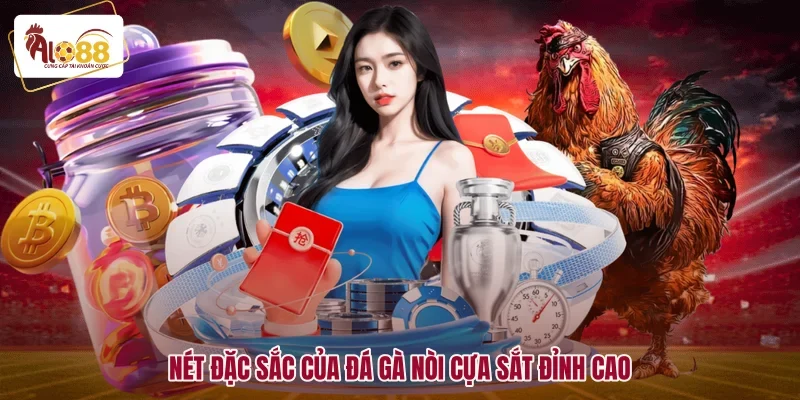 Đá Gà Nòi Cựa Sắt - Cách Chọn Lọc Chiến Kê Đòn Độc 1 Nét đặc sắc của đá gà nòi cựa sắt đỉnh cao