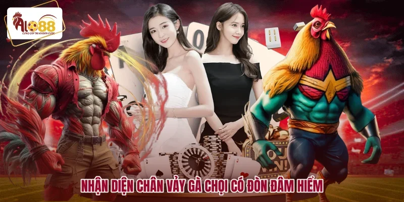 Cách Chọn Gà Đá Hay Cho Sư Kê Bách Chiến Bách Thắng 3 Nhận diện chân vảy gà chọi có đòn đâm hiểm