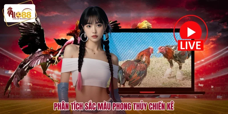 Lịch Màu Mạng Gà Đá Hôm Nay - Đoán Định Thắng Thua Cực Chuẩn 2 Phân tích sắc màu phong thủy chiến kê