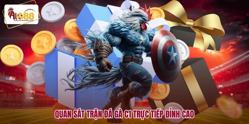 Đá Gà C1 Trực Tiếp Đỉnh Cao Với Các Trận Đấu Kịch Tính 1 Quan sát trận đá gà c1 trực tiếp đỉnh cao