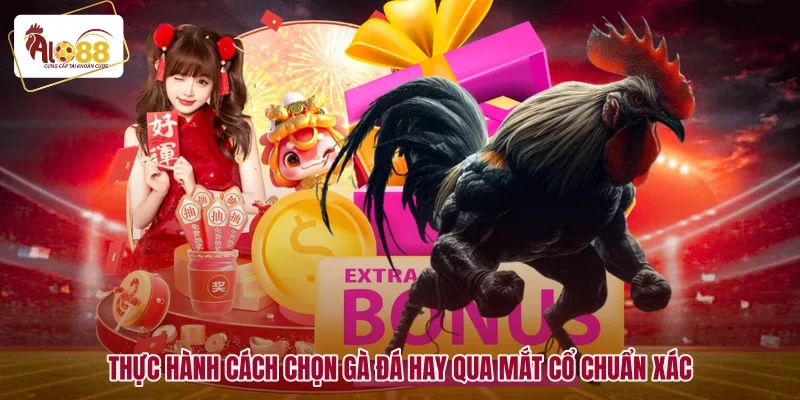 Cách Chọn Gà Đá Hay Cho Sư Kê Bách Chiến Bách Thắng 1 Thực hành cách chọn gà đá hay qua mắt cổ chuẩn xác