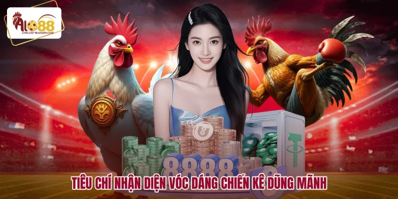 Đá Gà Nòi Cựa Sắt - Cách Chọn Lọc Chiến Kê Đòn Độc 2 Tiêu chí nhận diện vóc dáng chiến kê dũng mãnh
