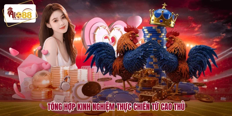 Luật Chơi Đá Gà Cựa Sắt Bất Bại Từ Các Sư Kê Lão Luyện 3 Tổng hợp kinh nghiệm thực chiến từ cao thủ