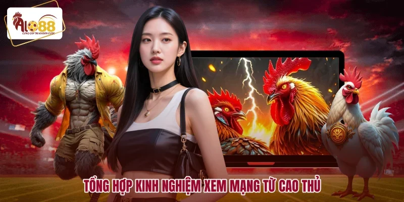 Lịch Màu Mạng Gà Đá Hôm Nay - Đoán Định Thắng Thua Cực Chuẩn 3 Tổng hợp kinh nghiệm xem mạng từ cao thủ