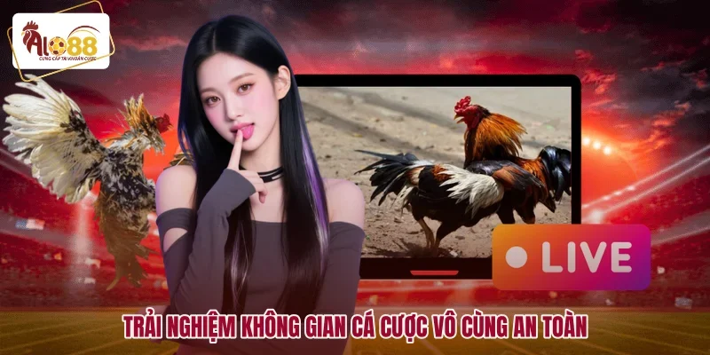 Đá Gà Thomo Mới Nhất - Mãn Nhãn Với Những Trận Đỉnh Cao 3 Trải nghiệm không gian cá cược vô cùng an toàn