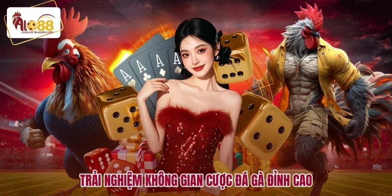 Trải nghiệm không gian cược đá gà đỉnh cao
