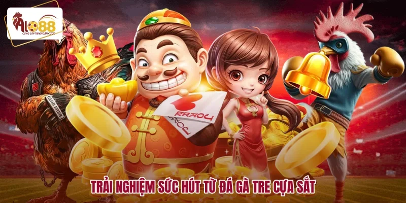 Đá Gà Tre Cựa Sắt Siêu Kinh Điển, Mãn Nhãn Từng Khoảnh Khắc 1 Trải nghiệm sức hút từ đá gà tre cựa sắt