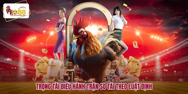 Đá Gà C1 Trực Tiếp Đỉnh Cao Với Các Trận Đấu Kịch Tính 3 Trọng tài điều hành trận so tài theo luật định