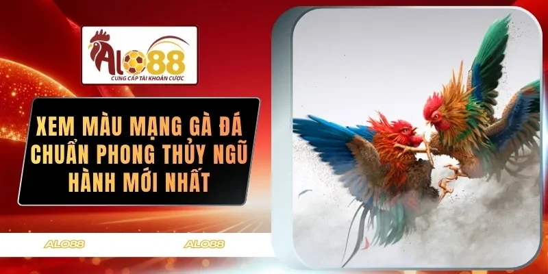xem mau mang ga da chuan phong thuy ngu hanh moi nhat